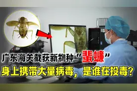 是谁在投毒？广东海关截获新物种“蜚蠊”，身上携带大量病毒视频封面