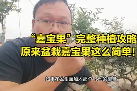 “嘉宝果”完整种植攻略，原来盆栽嘉宝果很简单！视频封面