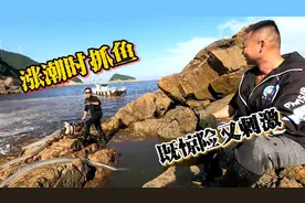 涨潮时抓鱼既惊险又刺激，这样抓鱼也是拼了，兄弟俩抓得忙不过来视频封面