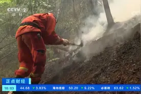 重庆北碚歇马街道山火明火已有效封控视频封面