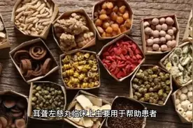 每天学中成药——耳聋左慈丸视频封面