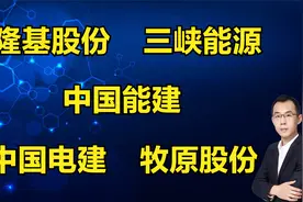 隆基股份、三峡能源、中国能建、中国电建、牧原股份，客观解读视频封面