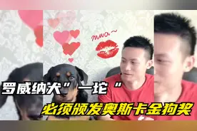 罗威纳犬“一坨”，坐拥400万粉丝，网友：必须颁发奥斯卡金狗奖
