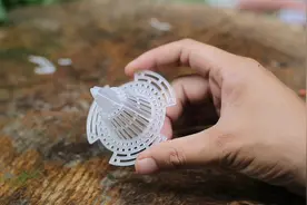 在花盆底部垫个“小圆锥”，园艺师教你，可以大大改善根系通风性视频封面