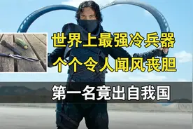 世界最强冷兵器排名，个个令人闻风丧胆，第一名竟出自我国视频封面
