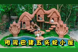 荒野达人利用泥巴及树枝，建造五头蛇小屋，为小猫提供家园！视频封面