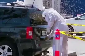 汽车被上万的蜜蜂围攻，原来是为了营救它们的蜂后，车主哭笑不得