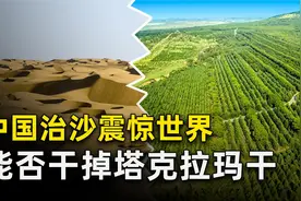 我国能否消灭塔克拉玛干，让沙漠变草原？如果真实现了是好是坏？视频封面