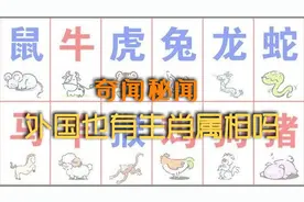 中国每个人都有自己的属相，外国也有生肖属相吗,你会大吃一惊视频封面