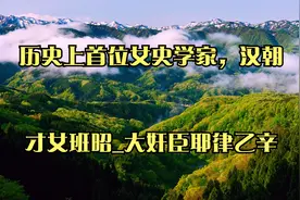 历史上首位女史学家，汉朝才女班昭_大奸臣耶律乙辛视频封面