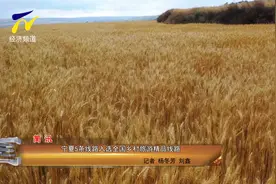 宁夏5条线路入选全国乡村旅游精品线路视频封面