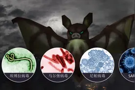 携带这么多致命病毒，蝙蝠“你好毒！” 科学家却说它有“隐情”