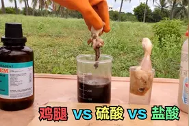 把鸡腿放进硫酸和盐酸中，会发生什么？哪个腐蚀性更强？
