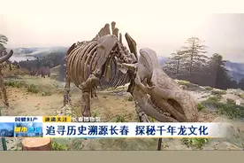 这家博物馆绝了！溯源长春，探秘千年龙文化视频封面