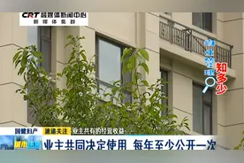 业主共有的经营收益：业主共同决定使用 每年至少公开一次视频封面