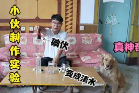 小伙把洗洁精倒进红色碘伏里，瞬间变成一杯清水，金毛大喊真神奇视频封面