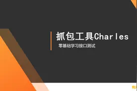零基础学习接口测试-抓包工具视频封面