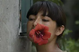 女孩为了保护自己，往身体里塞土豆，不曾想土豆发芽了 剧情片视频封面