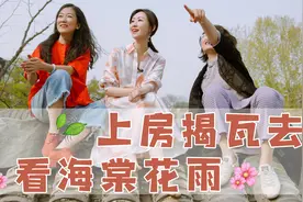 清华建筑师爆改胡同小院！是“桃花源“啊！视频封面