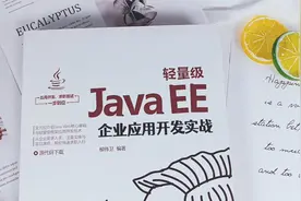 新书速览丨轻量级Java EE企业应用开发实战
