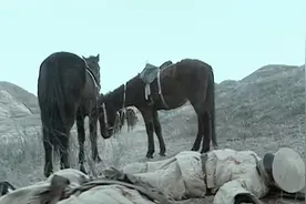 亮剑：副总指挥撤销独立团的团长位置，让李云龙替带他管理独立团视频封面