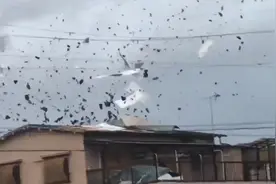 2018年日本发生台风的真实影像，垃圾满天飞，汽车被掀翻视频封面