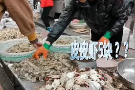 丹东二街海鲜早市，皮皮虾卖5块钱一斤，为啥这么便宜啊？视频封面