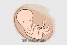 第一次胎动┃新生命的第5个月视频封面