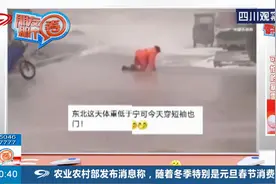 你在东北穿着貂，我在南方露着腰，来感受一下哈尔滨的风雪视频封面