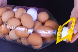 空油桶如何装的进去鸡蛋？姑娘手把手演示一遍，方法也太简单了