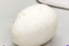 鸡蛋长斑到底是怎么回事？还能吃吗？快来听听专家怎么说视频封面