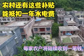 农村耕地地力保护补贴下发，这笔钱刚好抵扣新农合，还有这些补贴视频封面