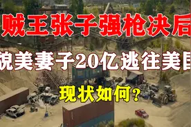 “贼王”张子强被枪决后，貌美妻子携20亿逃往美国，现状如何？视频封面
