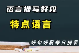 好句好段：语言描写好段——特点语言视频封面