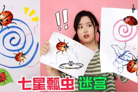 红笔画一根线，七星瓢虫就会跟着走？那画一个圆，会无限转圈吗？视频封面