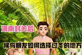 海南封关后，候鸟老人来海南过冬，选择海南哪个城市更适合自己视频封面