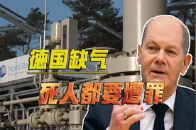 德国节能，又出幺蛾子了，活人要遭活罪，死人还要遭遇死罪视频封面