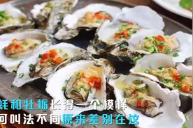 明明长得一个模样，为啥一个叫生蚝，一个叫牡蛎？原来差别在这儿视频封面