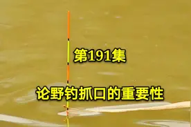 看漂钓鱼就是人和鱼的技术较量，高清看漂，捕捉鱼咬钩的精彩瞬间视频封面