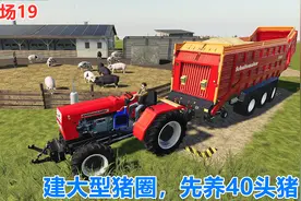 模拟农场19创业记29：平整土地建一个大型猪圈，以后开始养猪生活视频封面