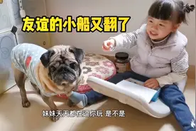 因为妈妈的一句话，狗子和妹妹的友谊小船又翻了视频封面