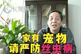 夏天，丝虫病能引起脏器功能性退化，要小心蚊虫由宠物传染给人！