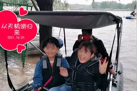 济南济西湿地，天鹅湖划船喂天鹅又成一景，秋雨难挡游人热情