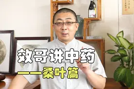 效哥讲中药之桑叶篇（上）视频封面