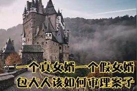 小健故事会：一个真女婿一个假女婿，包大人该如何审理案子视频封面