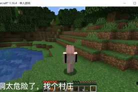 我的世界第2期：无语了视频封面
