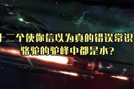 十二个使你信以为真的错误常识：骆驼的驼峰中都是水？视频封面