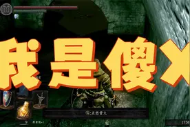 全体目光向我看齐，我宣布个事儿视频封面
