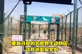 太原重新开放的野生动物园，以这样的方式浏览真的很安全视频封面