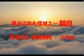 黑龙江四大煤城之一鹤岗